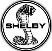 Shelby